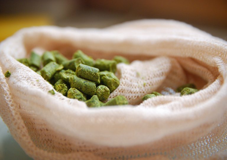 Understanding Everything About Dry Hopping