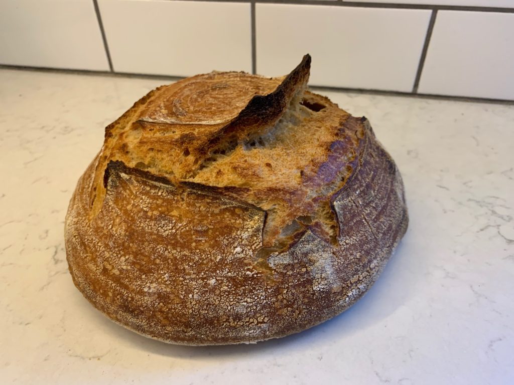 Sourdough Bread Recipe with Spent Beer Grains Beer Maverick