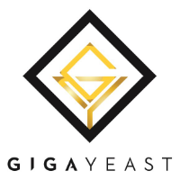 BELGIAN ABBEY ALE Yeast from GigaYeast