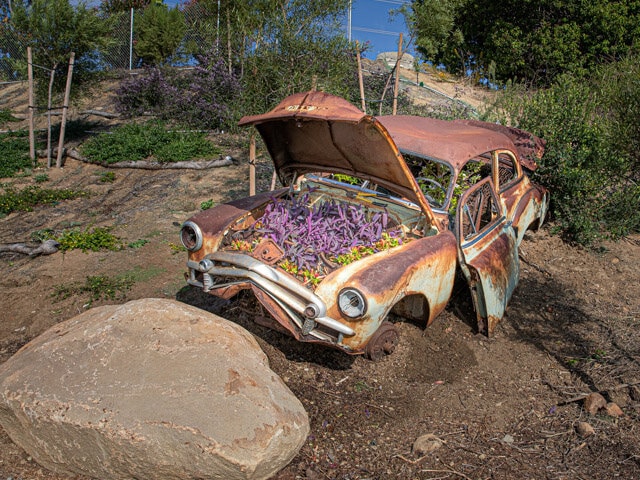 An old wrecked car next to the parking lot has been retained as a landscaping feature.