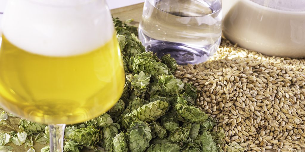 Beer Ingredients [Hops, Yeast, Water, Grains] Beer Maverick
