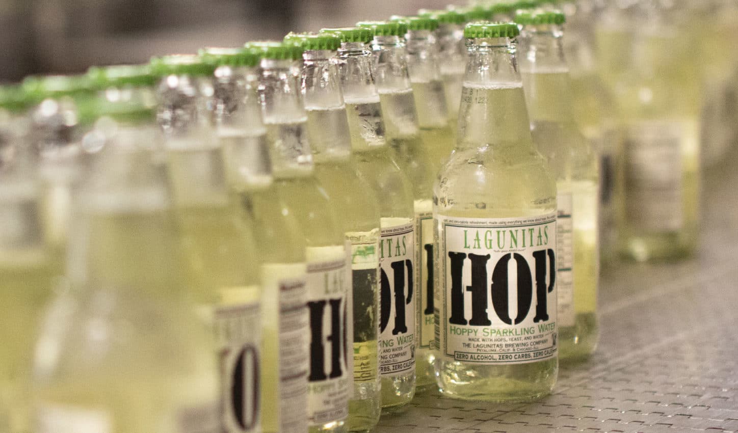7 Ways to Filter Your Hops: Crafting the Cleanest, Smoothest Beers Every  Time