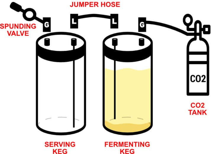Guide to Fermenting Homebrew in a Corny Keg Beer Maverick