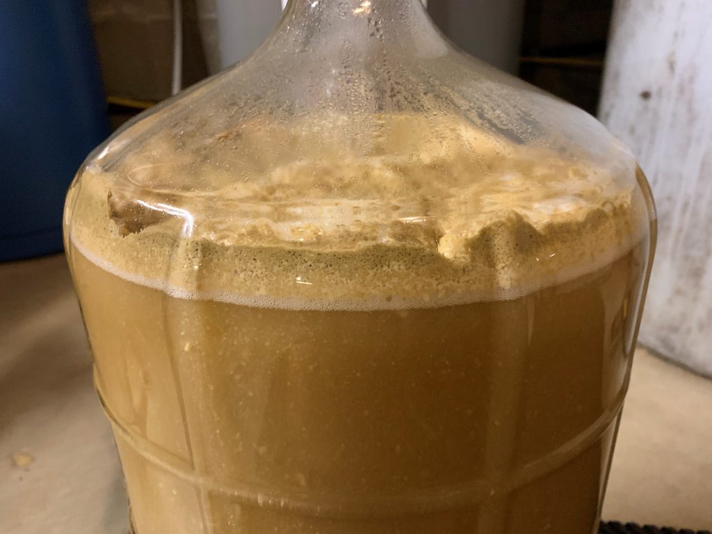 Guide to Fermenting Homebrew in a Corny Keg Beer Maverick