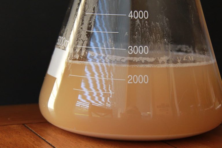 What to Expect When Mixing Beer Yeasts