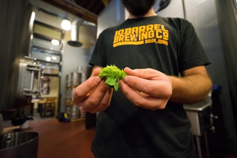 The Science Behind Identifying Hop Aromas