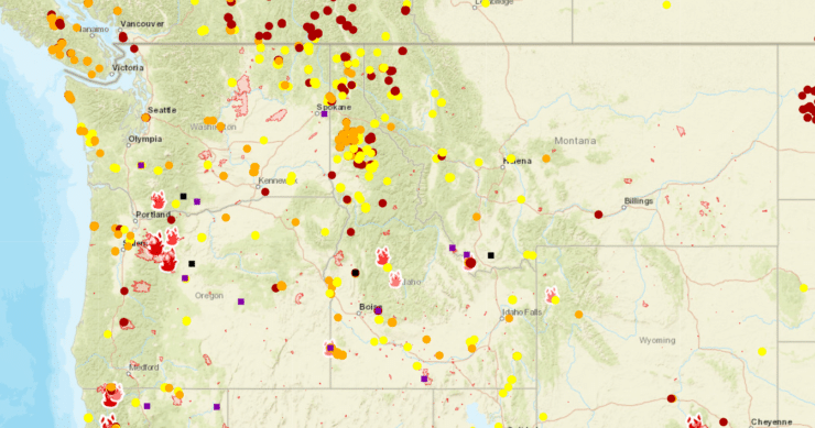 How the Pacific Northwest Hop Yards Survived the 2020 Wildfires - Beer ...