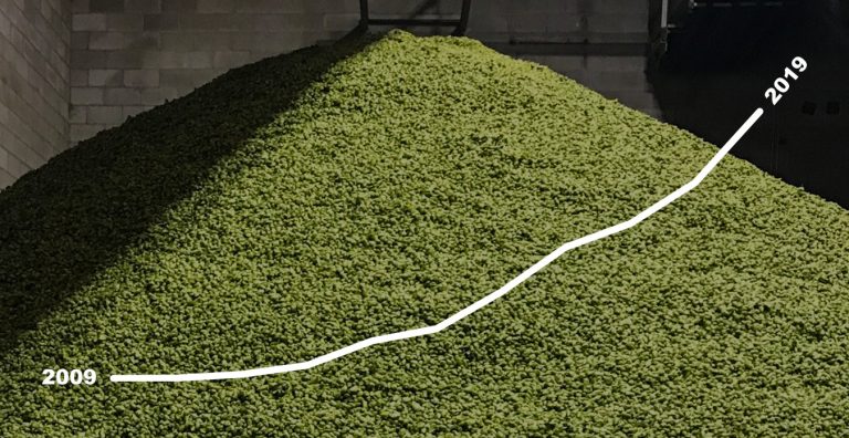 The Complete History of the Citra Hop