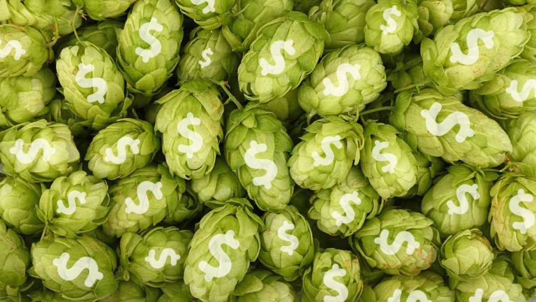 Why are Hops so Expensive?