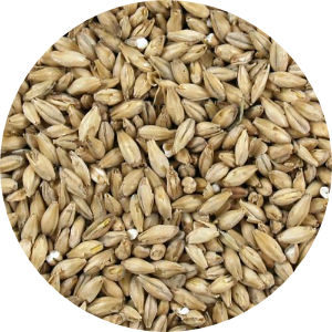 2-Row Pale Malt Image