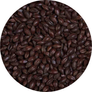 Black (Patent) Malt Image