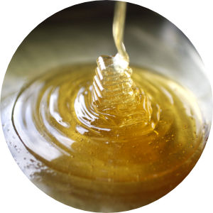 Honey Image