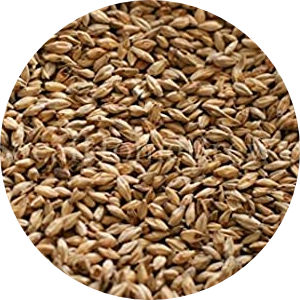 Honey Malt Image