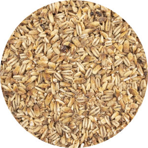 Malted Oats Image