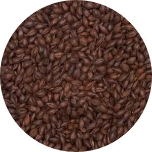 Roasted Barley Image