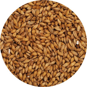 Vienna Malt Image